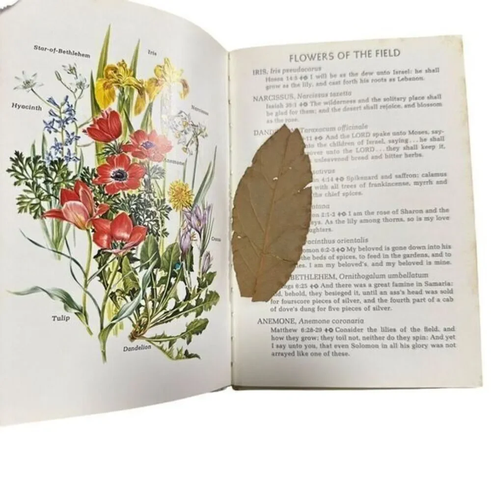 Plants of the‎ Bible  (1st Ed) by Louis Untermeyer, Anne Orphelia Dowden